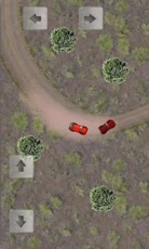 崎岖拉力赛 Rugged Rally游戏截图2