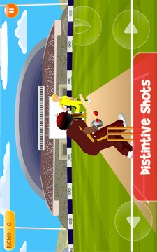 Cricket legends - Pro游戏截图2