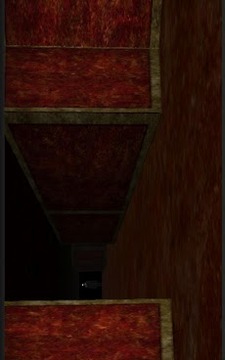 微弱的房间 House of Sl...游戏截图2