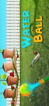 冲洗彩球 WaterBall游戏截图1