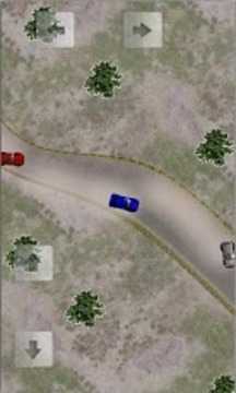 崎岖拉力赛 Rugged Rally游戏截图5