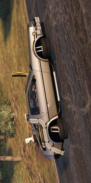 Flying DeLorean Simulator游戏截图3