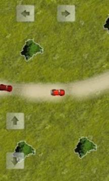 崎岖拉力赛 Rugged Rally游戏截图1