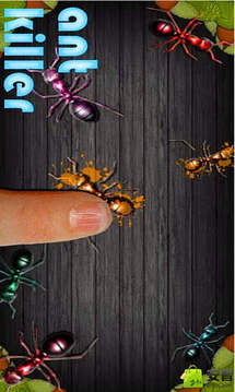 消灭蚂蚁HD游戏截图5