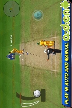 T20板球世界杯2012游戏截图2