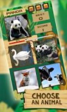 Flash Animal Quiz游戏截图5