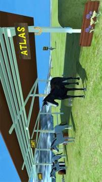 Horse Show Jumping VR游戏截图2