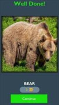 Best Guess Animals Quiz - Free游戏截图1