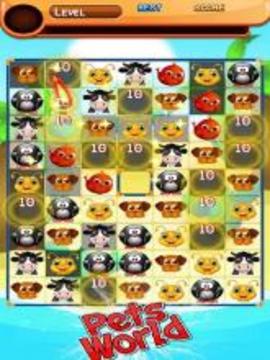 Cute Pets World Match游戏截图2