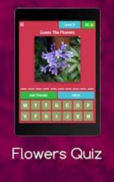 Flowers Quiz : Guess The Flowers游戏截图3