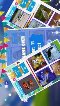 Animal Quiz - Guess The Animals Game游戏截图3
