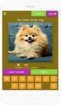 guess dogs游戏截图4