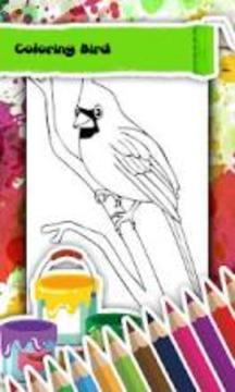 Bird Coloring Book游戏截图2