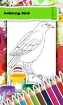 Bird Coloring Book游戏截图1