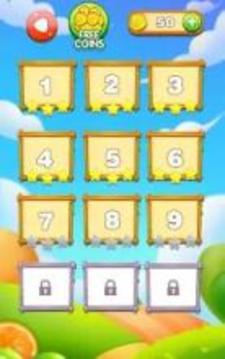 Bingo Fruit - New Match 3 Puzzle Game游戏截图1