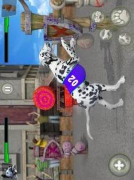 Dog Kung fu Training Simulator: Karate Dog Fighter游戏截图1