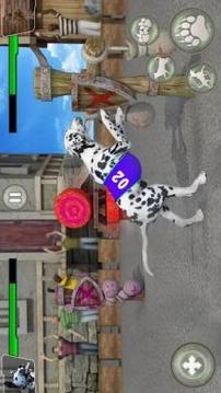 Dog Kung fu Training Simulator: Karate Dog Fighter游戏截图4