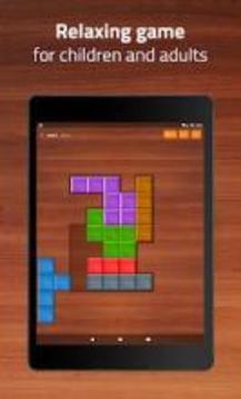 Wood Block Puzzle Game游戏截图3