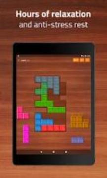 Wood Block Puzzle Game游戏截图1