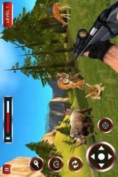 3d Wild Animal Hunting Jungle Shooter游戏截图5