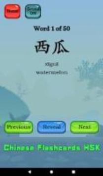 Chinese Flashcards HSK游戏截图3