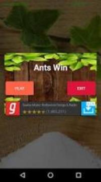 Ant Smasher- 2018游戏截图5