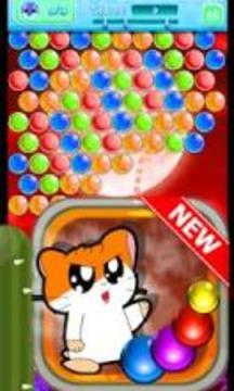 Bubble Hamtaro Witch 3游戏截图1