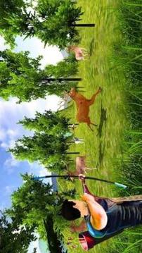 Archery Training School And Hunting Experience游戏截图2