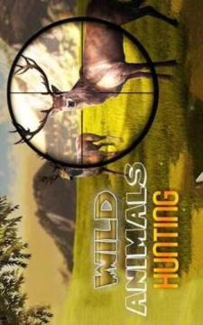 Evil Hunter: Wild Animal Hunting游戏截图3