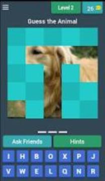 Guess The Animal Fun游戏截图4