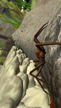 Spider Nest Simulator - insect and 3d animal game游戏截图2