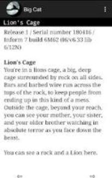 Big Cat - A Text Adventure Game游戏截图2