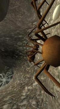 Spider Nest Simulator - insect and 3d animal game游戏截图4