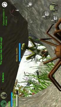 Spider Nest Simulator - insect and 3d animal game游戏截图3