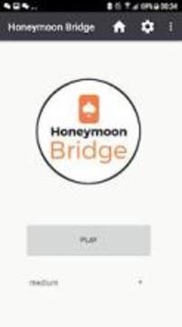 Honeymoon Bridge游戏截图5