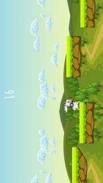 Rabbit Run - Bunny Rabbit Game游戏截图1