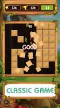 Block Wood Puzzle 2019游戏截图2