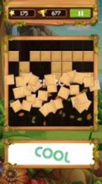 Block Wood Puzzle 2019游戏截图3
