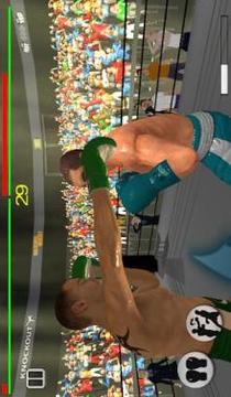 Real 3D Boxing Punch游戏截图4