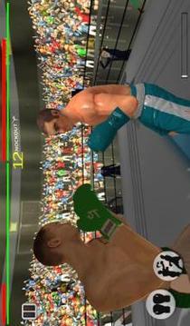 Real 3D Boxing Punch游戏截图5