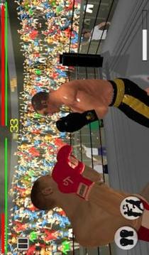 Real 3D Boxing Punch游戏截图1