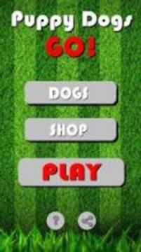 Puppy Dogs GO! Pocket Edition游戏截图1