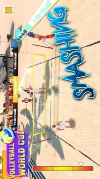 Super Volleyball World Cup 2018游戏截图2