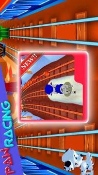 paw Racing puppy Car games游戏截图2