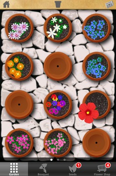 Flower Garden游戏截图4