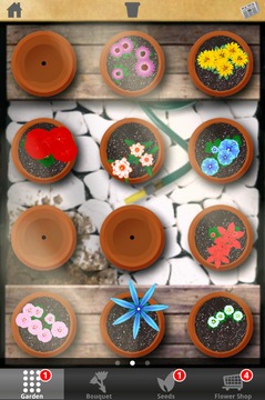 Flower Garden游戏截图6