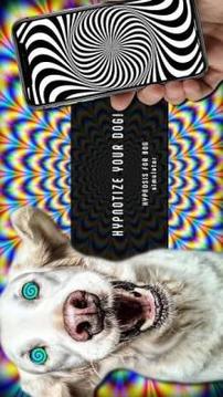 Real Hypnosis For Dogs Simulator游戏截图2