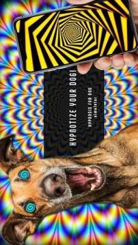 Real Hypnosis For Dogs Simulator游戏截图1