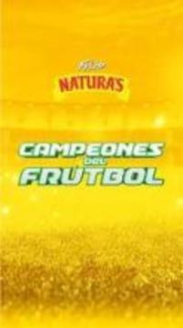 Frutbol Friito Naturas游戏截图5