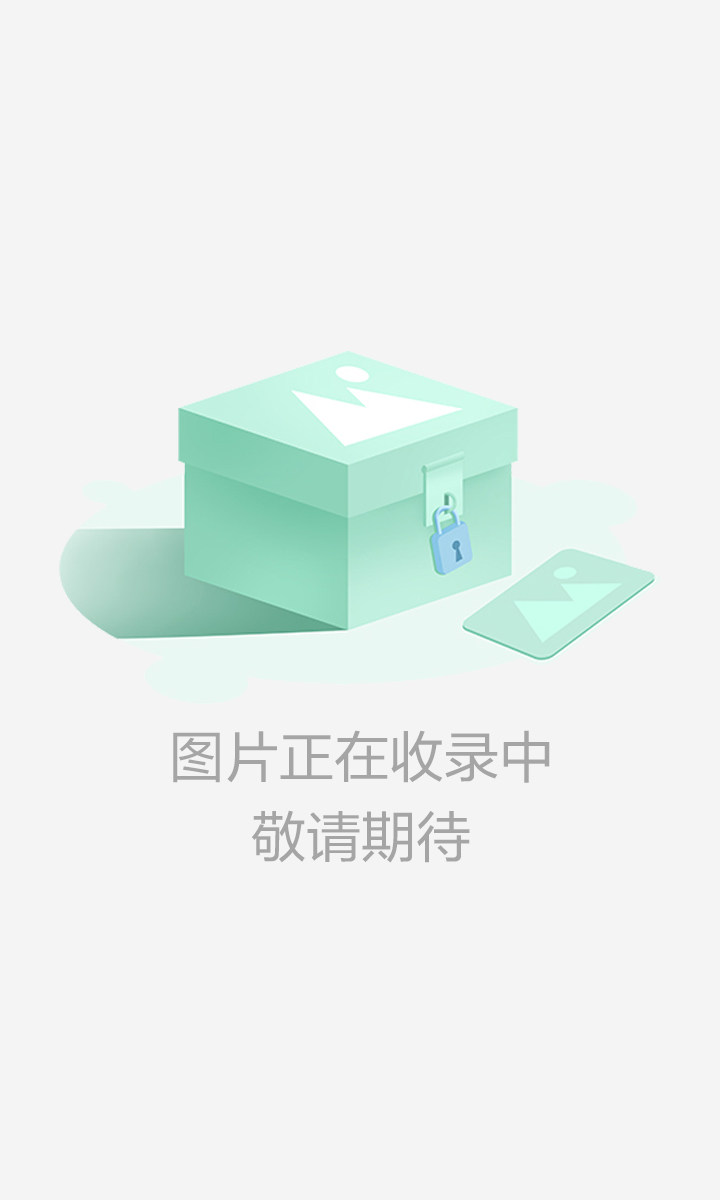 功夫风暴游戏截图1